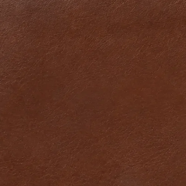 Full-grain buffalo leather swatch