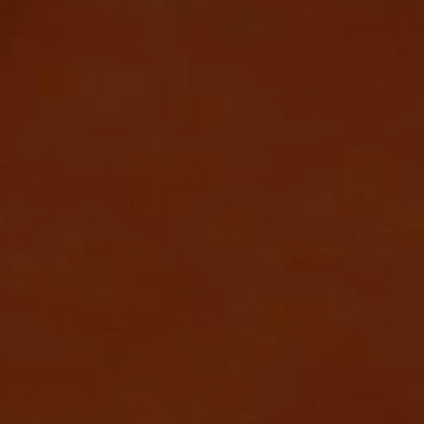 Vegetable-tanned leather swatch